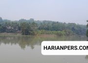 Air Bendungan Cirata Meluap, Sejumlah Sawah Terendam