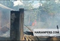 Kebakaran rumah warga di Cilaku (Foto: Tedi/harianpers)
