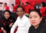 Gara-gara Jokowi Cawe-cawe Politik, Indeks Demokrasi Diprediksi Jeblok