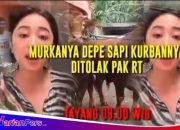Gegara Sapi Kurban, Dewi Persik Ngamuk Ke Ketua Rt