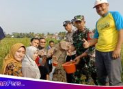 Poktan Cibogo Melaksanakan Kegiatan Peletakan Batu Pertama pembangunan Rehabilitasi Jaringan Irigasi Tersier (RJIT)