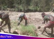 SATGAS MOBILE RAIDER 300 SILIWANGI BANTU WARGA BUKA LAHAN KEBUN DI MAYUBERI, PAPUA