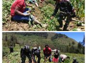 SATGAS MOBILE RAIDER 300 SILIWANGI BERSAMA MASYARAKAT MUNDIBA PANEN DI KEBUN MAMA ELIN LABENE