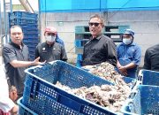 Kasat Pol PP Kabupaten Indramayu Pimpin Langsung Penghentian Sementara Produksi Pabrik Tepung Ikan