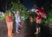 Hujat Lebat Serta Cuaca Ekstrem, Tim I-Ceta BPBD Gercep Evakuasi Pohon Tumbang