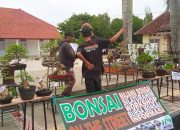 Program Bulanan, PPBI Cabang Indramayu Laksanakan Bonsai On The Street Puspawangi