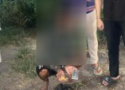 Tanpa Izin Edar, Sat Resnarkoba Polres Indramayu Kembali Ungkap Kasus Peredaran Obat Keras