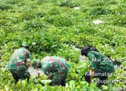 Sampah dan Hamparan Gulma Eceng Gondok Kembali Dibersihkan Satgas Citarum Sektor 12
