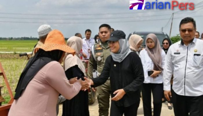 Bupati Nina Agustina Prioritaskan Pembangunan Jalan Capai 88,73%