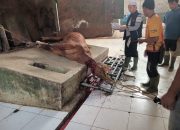 Idul Adha 2024, DKM Mesjid Alkhoirot Pasar Muka Cianjur,  Bagikan 1000 Lebih Paket Daging Kurban.