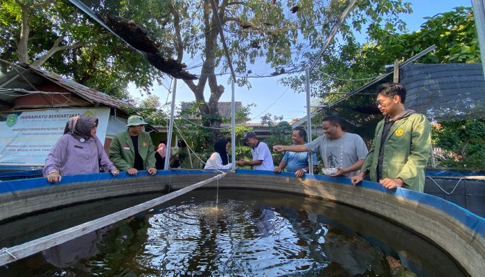Nina Agustina : Komplek Perumahan RSS Pabean Udik Ciptakan Taman Cumi Jadi Area Publik