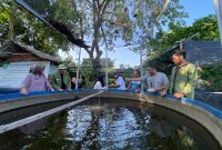 Foto : BTN RSS ciptakan Taman Cumi jadi area publik 