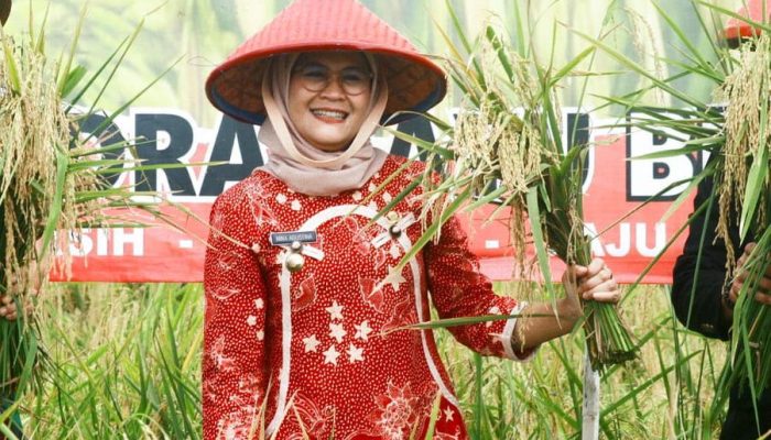 Terbesar di Indonesia, Pemkab Indramayu Berhasil Lakukan Perluasan Areal Tanam 12.887 Hektare