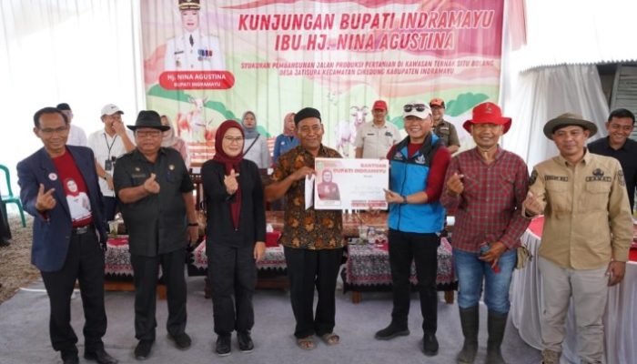 Peternak Sapi Bolang Indramayu Gembira, Bupati Nina Agustina Berikan Bantuan dan Jalan Baru