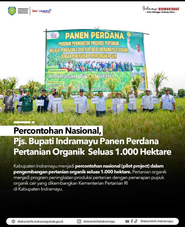 Percontohan Nasional, Pjs. Bupati Indramayu Panen Perdana Pertanian Organik Seluas 1.000 Hektare