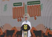 FESTIVAL TERNAK DOMBA KAMBING KEMBALI DIGELAR PEMERINTAH KABUPATEN BOGOR