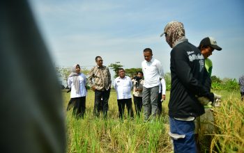 Jaga Stabilitas Pangan, Indramayu Harus Miliki Sistem Logistik Daerah Terpadu