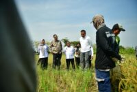 Jaga Stabilitas Pangan, Indramayu Harus Miliki Sistem Logistik Daerah Terpadu