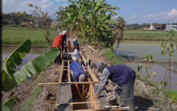 Tanpa Ada Pungli, Progarm P3 TGAI Usulan “Dewa” Murni Diberikan Ke Petani