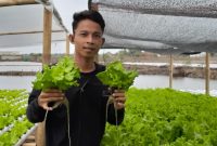 Sujoyo Dorong Program BUMdes Untuk Ikut Andil Dalam Penanaman Hidroponix