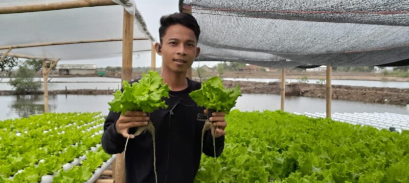 Sujoyo Dorong Program BUMdes Untuk Ikut Andil Dalam Penanaman Hidroponix