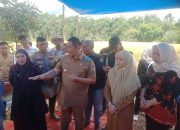 Walikota Dan Wakil Walikota Pagaralam Hadiri Panen Raya Serentak Di Desa Tebat Gunung Kota Pagaralam
