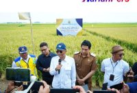 Metode IPHA Hasilkan 11 Ton Per Hektare, Menteri PU dan Bupati Indramayu Panen Perdana 