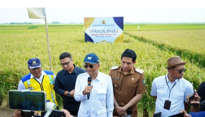 Metode IPHA Hasilkan 11 Ton Per Hektare, Menteri PU dan Bupati Indramayu Panen Perdana 
