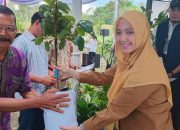 Dinas Pertanian Pagar Alam Adakan Penyerahan Bibit Secara Simbolis