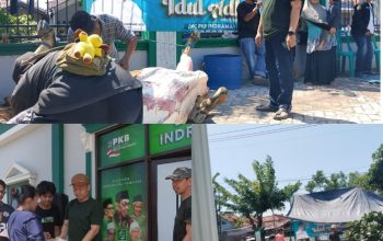 Rayakan IDUL ADHA 1446 H, DPC PKB Indramayu Bagikan Ratusan Daging Hewan Korban