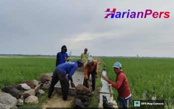 Warga Blok Siar & Balai Desa Pabean Ilir Antusias Sambut Pembangunan TPT