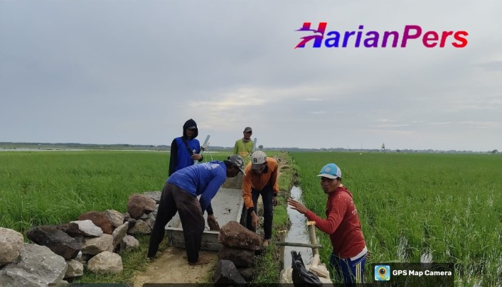 Warga Blok Siar & Balai Desa Pabean Ilir Antusias Sambut Pembangunan TPT