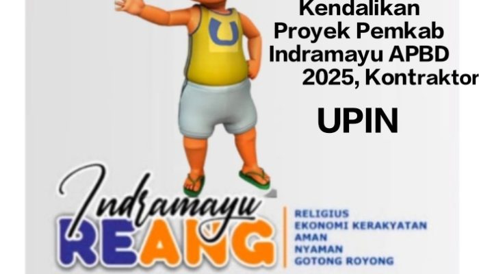 Dua Naga Kecil Kendalikan Proyek Pemkab Indramayu APBD 2025, Kontraktor UPIN