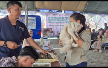 Vaksinasi Rabies Gratis untuk Kucing Warnai Indramayu Festival & Reptil Contest
