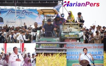 Event Panen Raya, Wamen Pertanian RI Puji Ketangguhan Petani Indramayu