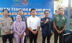 BNN Cianjur Musnahkan Tanaman Narkotika Jenis Khat (Catha edulis)