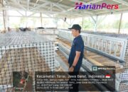 Kuwu DIAN Sukses Wujudkan Ketahanan Pangan Melalui Alokasi DD 20%