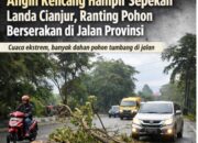 Waspada! Angin Kencang Terjadi Hampir Sepekan, Jalan Provinsi Cianjur Rawan Pohon Tumbang