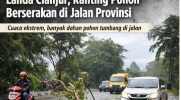 Waspada! Angin Kencang Terjadi Hampir Sepekan, Jalan Provinsi Cianjur Rawan Pohon Tumbang