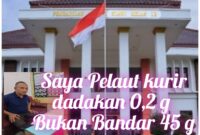 PN Slawi Vonis Berat Pelaut Michael Kurir Dadakan 7 Tahun, Dipertanyakan?