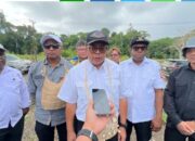 Bupati Piter Gusbager Siapkan Lahan Cetak Sawah 15000 Ha, Seluruhnya Milik Warga