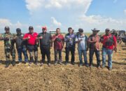 Pangkalan TNI AL Pastikan Lahan Untuk Ketahanan Pangan Nasional Kedelai Kondusif & Siap Amankan