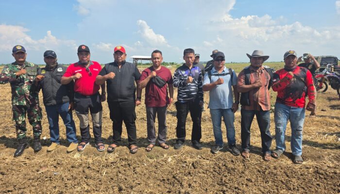 Pangkalan TNI AL Pastikan Lahan Untuk Ketahanan Pangan Nasional Kedelai Kondusif & Siap Amankan