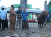 Hari Raya Idul Adha 1447 H. Bupati Piter Gusbager Serahkan Hewan Kurban