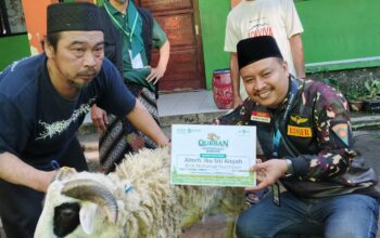 Sasar Duafa, PCNU Cianjur Sembelih 1 Sapi dan 7 Domba di Hari Kedua Iduladha