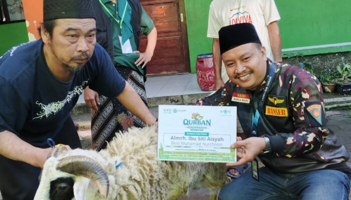 Sasar Duafa, PCNU Cianjur Sembelih 1 Sapi dan 7 Domba di Hari Kedua Iduladha