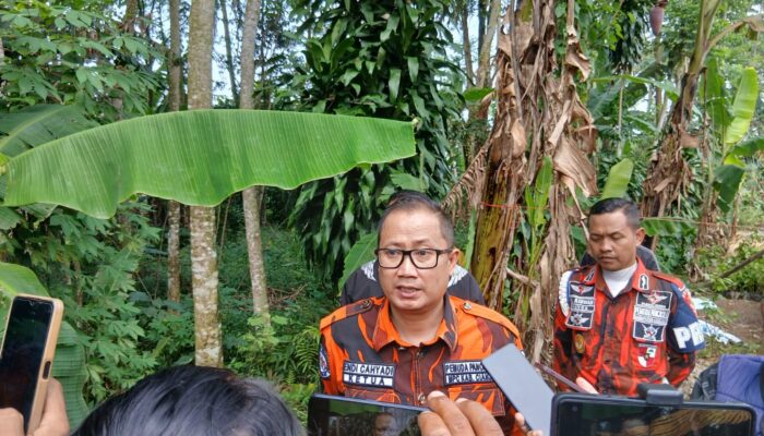 Peringati Hari Lahir Pancasila, Pemuda Pancasila Tanam Ribuan Pohon di 32 Kecamatan, Awali dari Desa Cirumput Cugenang