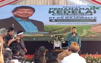 Diperintah Langsung Presiden Prabowo, Hashim Hadiri Penanaman Kedelai Nasional di Indramayu