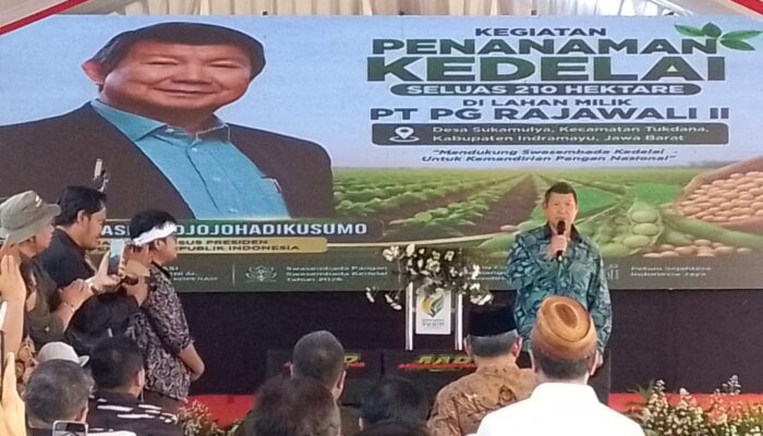Diperintah Langsung Presiden Prabowo, Hashim Hadiri Penanaman Kedelai Nasional di Indramayu