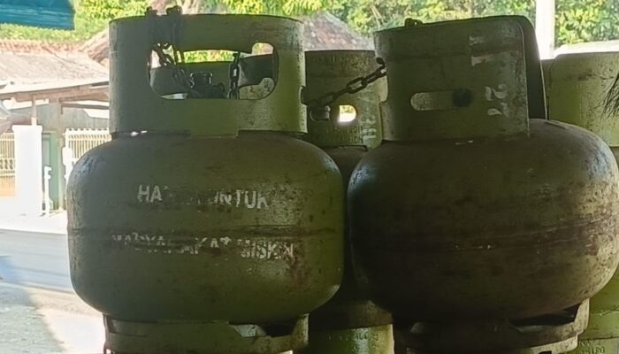 Gas Melon Langka, Harga Meroket Warga Mulai Panik